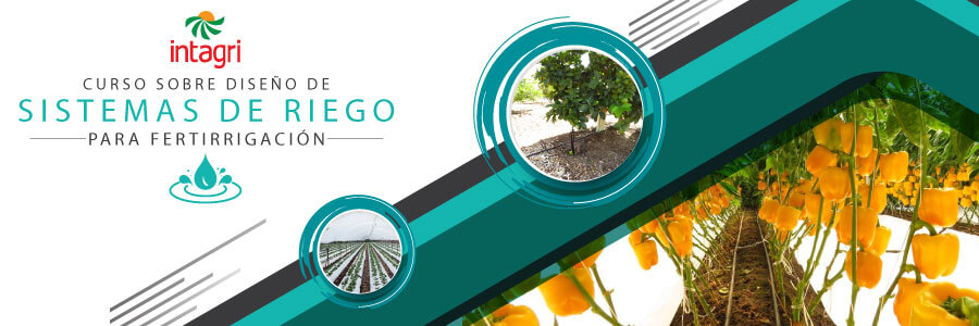 Curso Intagri Virtual Dise O De Sistemas De Riego Por Goteo Para