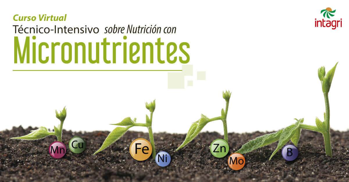 Seminario Virtual Micronutrientes Para Las Plantas Inicio Intagri S C