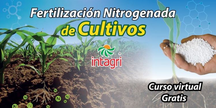 Curso virtual Fertilización Nitrogenada de Cultivos Gratuito Inicio