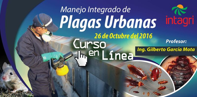 Curso Virtual Manejo Integrado De Hormigas Y Manejo Integrado De