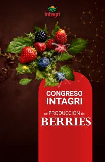 Curso presencial: Congreso Intagri en Producción de Berries Curso presencial: Congreso Intagri en Producción de Berries
