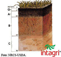 Clasificación del Suelo: WRB y Soil Taxonomy