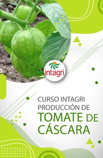 Curso Virtual sobre Tomate Verde
