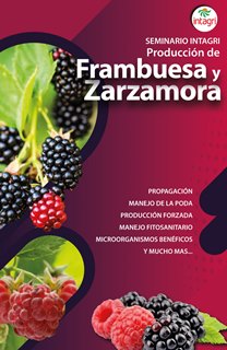 Seminario Virtual Intagri Producción de Frambuesa y Zarzamora