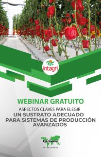 Webinar Gratuito: Aspectos claves para elegir un sustrato adecuado para sistemas de producción avanzados