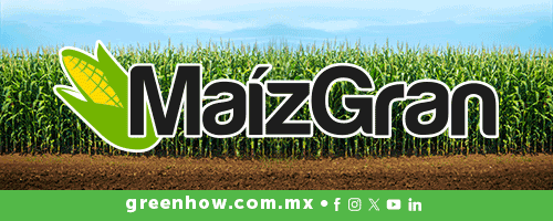 https://www.greenhow.com.mx/categoria-producto/fertilizante-granulado/