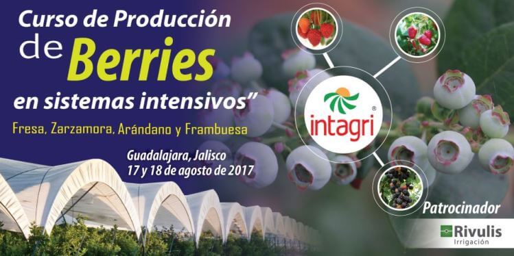 Curso Internacional en Producción de Berries, Arándano, Fresa, Frambuesa y Zarzamora