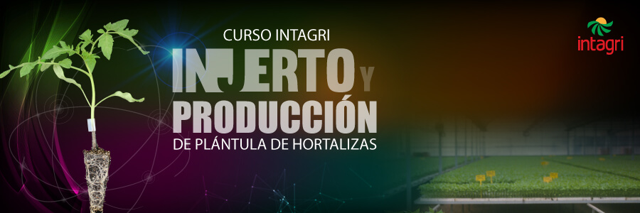 curso de injerto