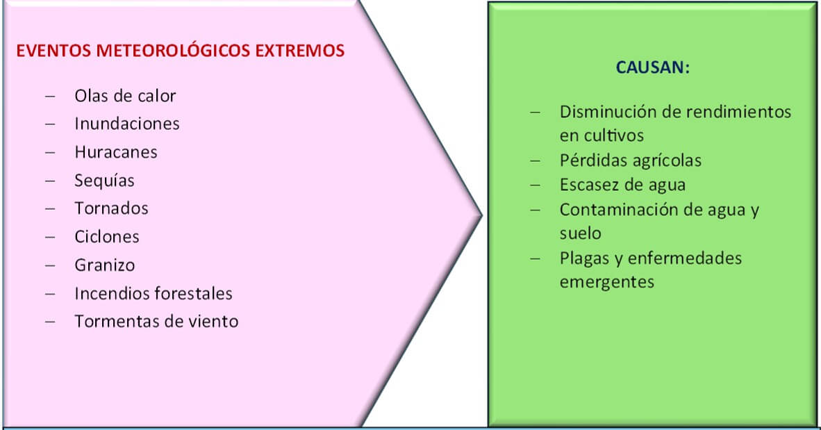 Consecuencias de eventos meteorológicos extremos 