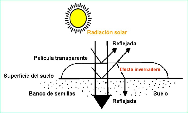 Solarización Del Suelo Para El Control De Malezas Y Plagas