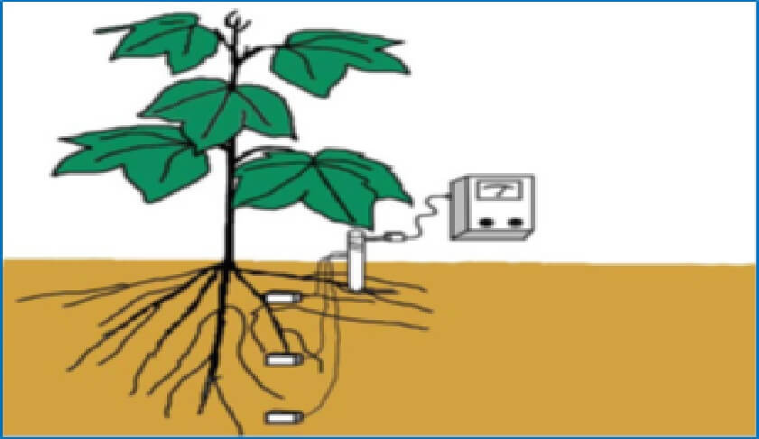 Medidor de humedad del suelo apto para todo tipo de cultivos