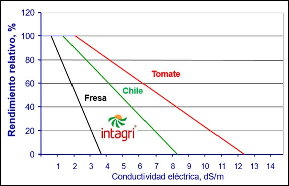 Conductividad eléctrica, tomate