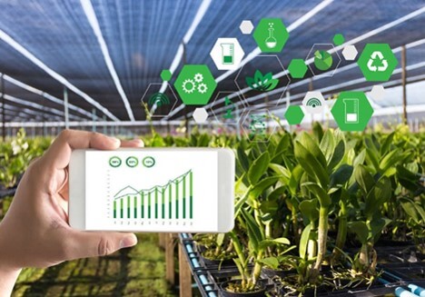 Tecnologías digitales integradas en la agricultura