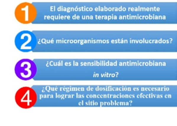 Consideraciones para establecer un régimen antimicrobiano racional. 