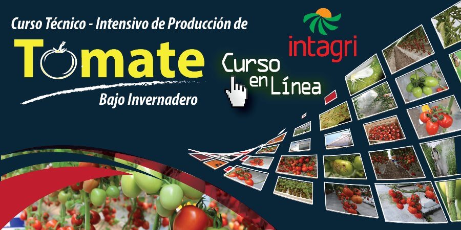 Curso Internacional sobre Producción de Tomate virtual