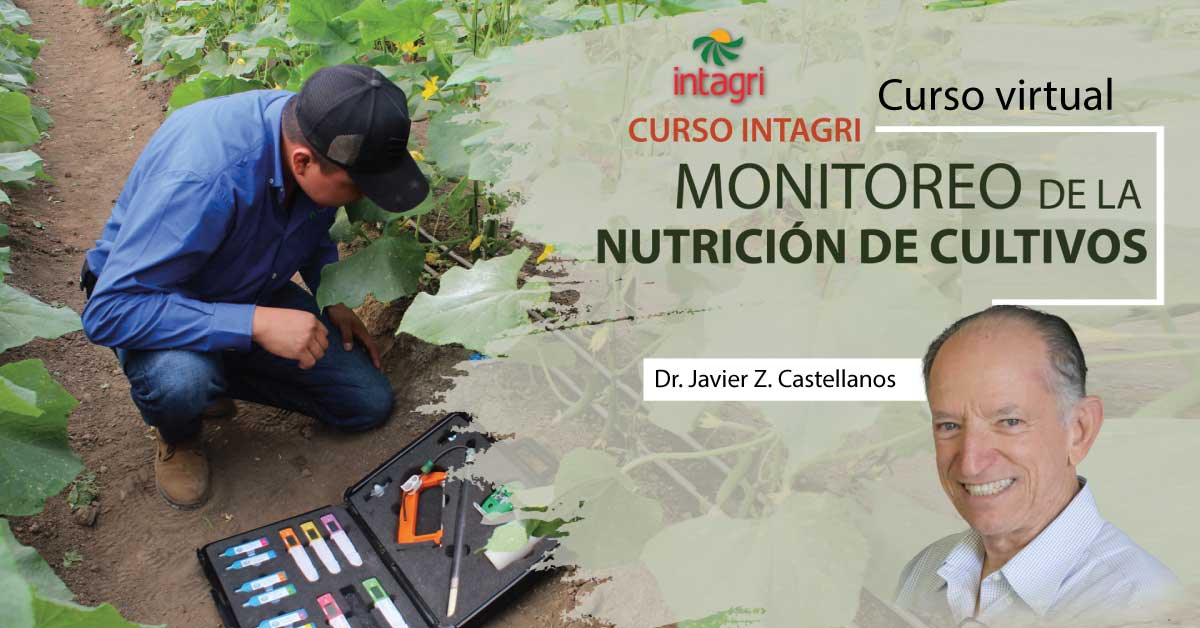 Curso Intagri Online De Monitoreo De La Nutrición De Cultivos Información Intagri Sc 7166