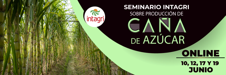 seminario de caña