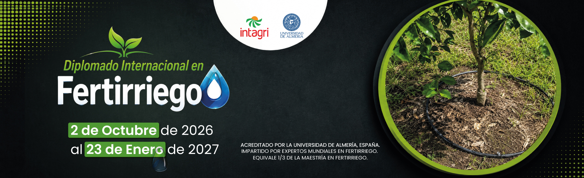 Inscribete al Curso INTAGRI en Producción de Banano