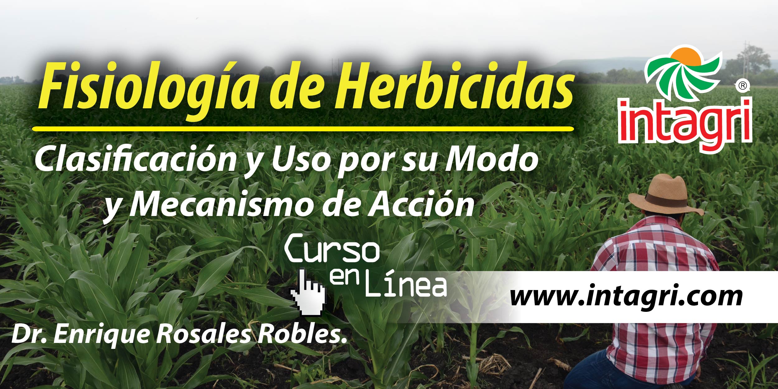 Curso Virtual Fisiología De Herbicidas Clasificación Y Uso Por Su Modo Y Mecanismo De Acción 