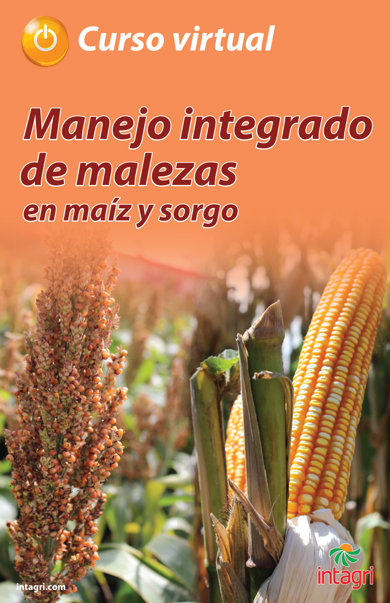 Curso Virtual Manejo Integrado De Plagas Y Enfermedades Del Aguacate