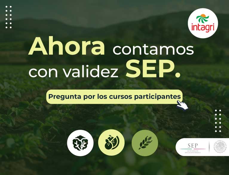 Ya contamos con Validez Oficial SEP