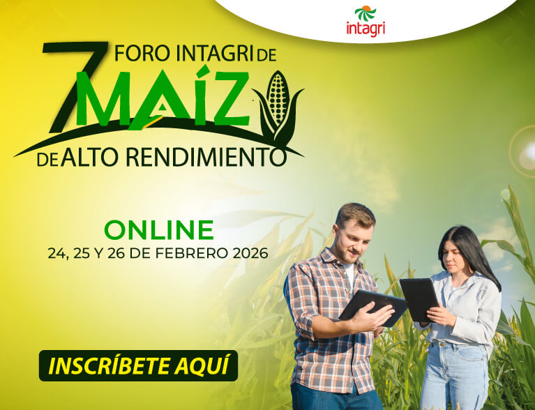 Inscribete al 7° Foro Intagri de Maíz de Alto Rendimiento Online