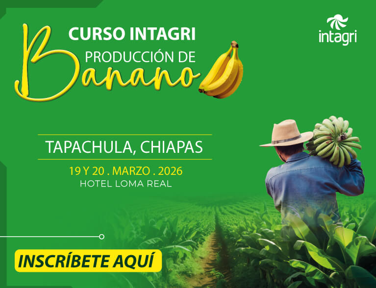 Inscribete al Curso INTAGRI en Producción de Banano