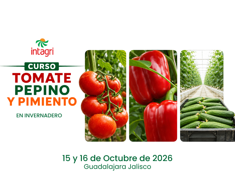 Inscribete al Curso INTAGRI Producción de Hortalizas Bajo Cubierta Tomate, Pepino y Pimiento