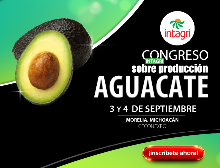 Inscribete al Congreso INTAGRI sobre Producción de Aguacate